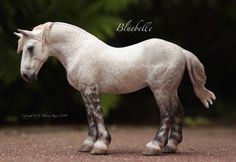 a white horse standing on top of a gravel road next to trees and bushes in the background