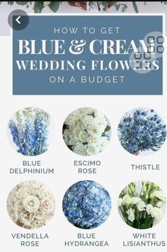 blue and cream wedding flowers on a budget sheet with text overlay that reads how to get blue and cream wedding flowers on a budget sheet