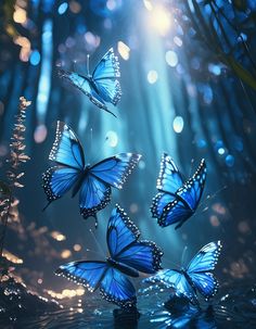 blue butterflies flying in the air over water