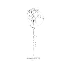 a pencil drawing of a rose with the word love written in cursive writing