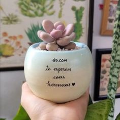 a hand holding a small potted plant with writing on it