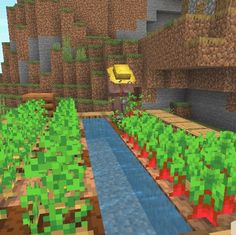 an image of a minecraft garden with lots of plants and water running through it