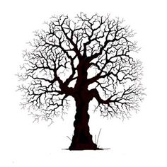 the silhouette of a tree with no leaves on it is shown in black and white