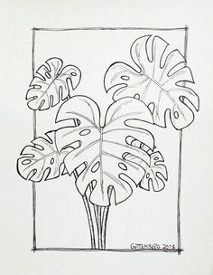 a black and white drawing of a plant in a square frame with monster leaves on it