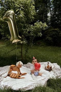 a baby is sitting on a blanket in the grass with balloons and other items around him