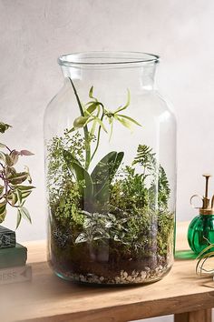 a glass vase filled with plants on top of a wooden table