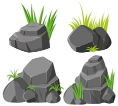 various rocks and grass on a white background