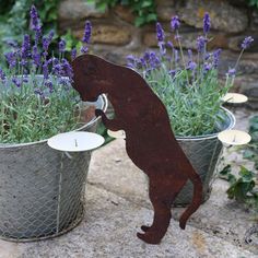 a brown dog standing on it's hind legs next to two metal buckets filled with lavender flowers