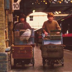 two people pushing luggage carts with birds in them