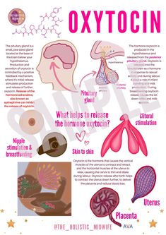 an info sheet describing the different types of oxyocins and how to use them