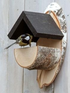 a bird that is sitting on top of a tree branch with a house in it's mouth