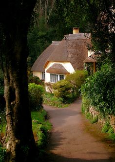 a house with a thatched roof in the woods