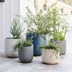 four planters with plants in them on the ground next to a wall and door