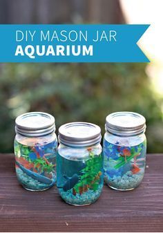 three mason jars filled with different types of aquariums on top of a wooden table