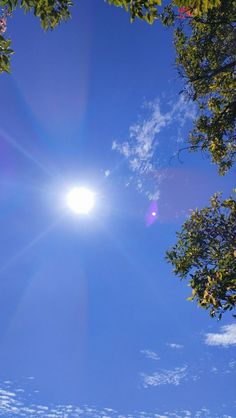 the sun shines brightly through the trees on a sunny day in this photo taken from below