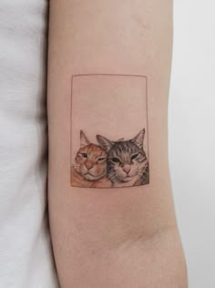 two cats in a square tattoo on the arm