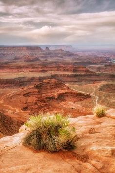 a view of the desert from a high point on a cloudy day with grass growing in the foreground