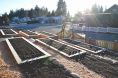 several rows of raised garden beds in the middle of a yard with trees and houses in the background