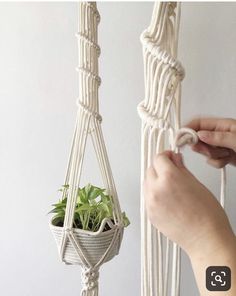 a person is holding a plant in a hanging potted plant holder on a macrame