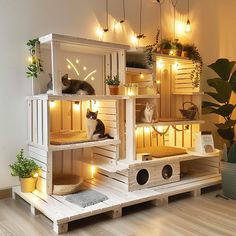 two cats sitting on top of wooden crates in a room with plants and potted plants