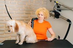 a woman sitting at a table with a dog on her lap while she is grooming it