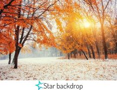 an autumn scene with trees and leaves in the foreground, sun shining behind them