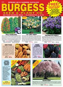 the flyer for burges seed and plant co, featuring pictures of flowering trees