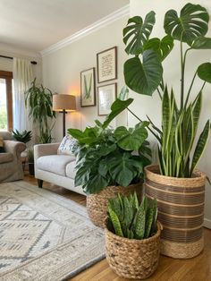 two large plants are in baskets on the floor next to a couch and table with a lamp