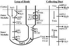 the scribbled diagram shows the location and arrangement of different components in an apparatus