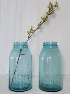 two blue mason jars with one holding a twig and the other holding a branch