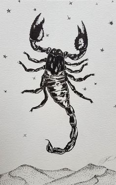 a black and white drawing of a scorpion on paper with stars in the sky behind it