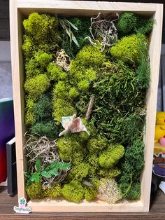 a wooden box filled with lots of green moss