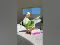 a white and green duck sitting on top of a bed next to a window in a room