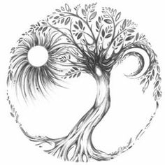 a drawing of a tree in the shape of a circle