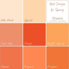 an orange color palette with the names of different colors