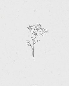 a drawing of a single daisy flower on a white paper with the words, i love you