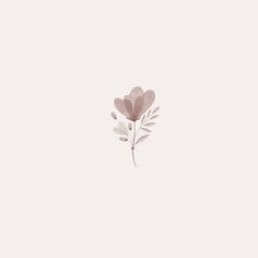 a single flower on a white background with the word love written in black and pink