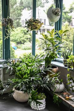 several potted plants sit on a window sill