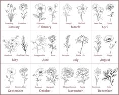 months of the year with flowers