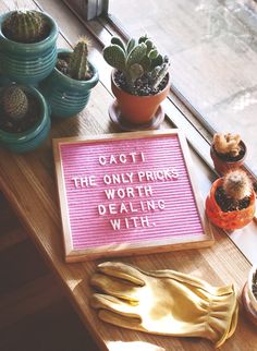 Cactus Quotes, Cactus Indoor, Letterboard Quotes, Garden Cactus, Plant Puns, Indoor Cactus, Plants Quotes