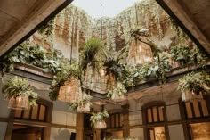 the inside of a building with hanging plants