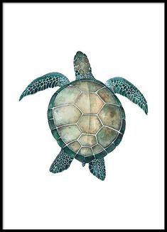 a watercolor painting of a sea turtle