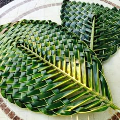 two large green leaves sitting on top of a white plate