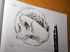 a drawing of a human skull on top of a piece of paper next to a pen