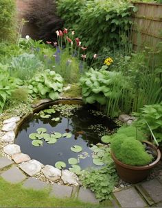 a small pond in the middle of a garden with water lilies and other plants