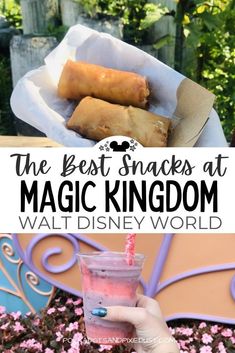 the best snacks at magic kingdom walt world