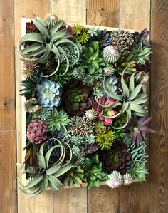 an arrangement of succulents and other plants on a wooden surface with wood planks