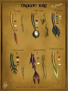 an image of different types of feathers