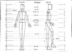 a drawing of the body and torso, with measurements for each part of the figure