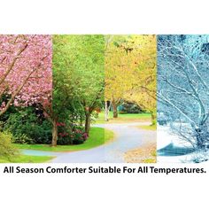 three different trees with the words all season comfort suitable for all temperatures